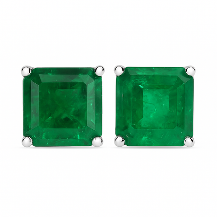 TOPOS SHINE GREEN