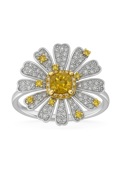 ANILLO BIGMIN