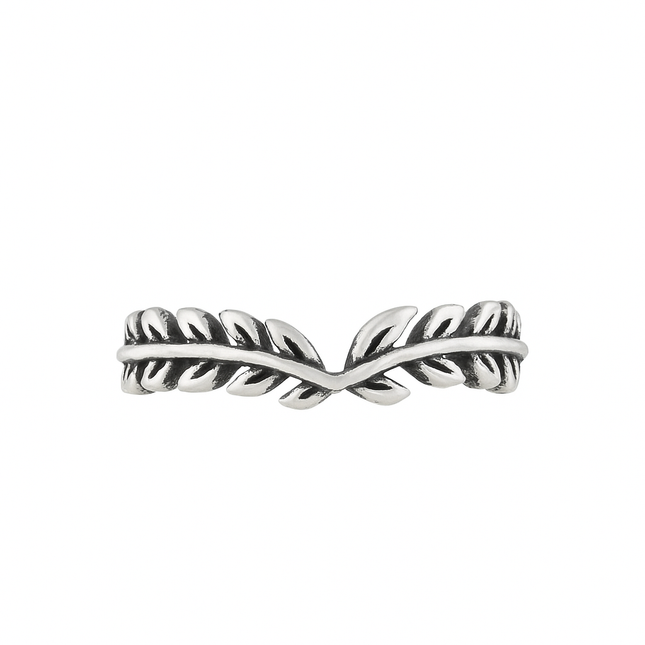 ANILLO ROME LAUREL